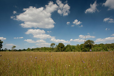 BUITEN BEELD Foto: 68942