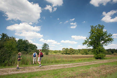 BUITEN BEELD Foto: 68946