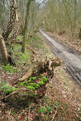BUITEN BEELD Foto: 68952
