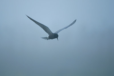 BUITEN BEELD Foto: 6053
