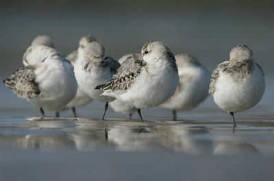 BUITEN BEELD Foto: 6059
