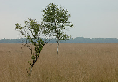 BUITEN BEELD Foto: 6068