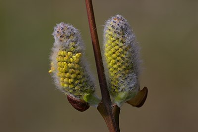 BUITEN BEELD Foto: 6092