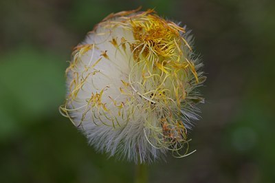 BUITEN BEELD Foto: 6096