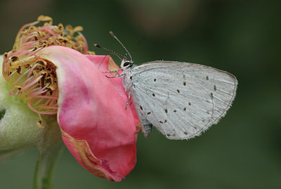 BUITEN BEELD Foto: 6126