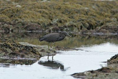 BUITEN BEELD Foto: 6190