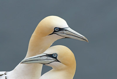 BUITEN BEELD Foto: 6210