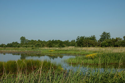 BUITEN BEELD Foto: 6256