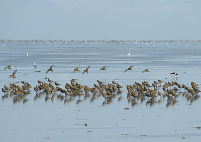 BUITEN BEELD Foto: 6264