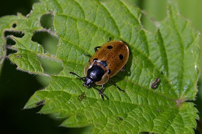 BUITEN BEELD Foto: 6276