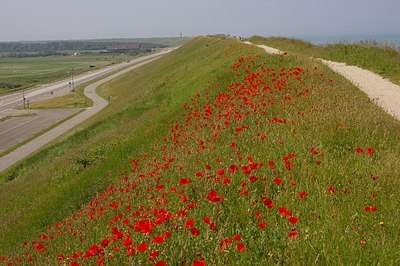 BUITEN BEELD Foto: 6278