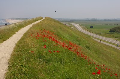 BUITEN BEELD Foto: 6279