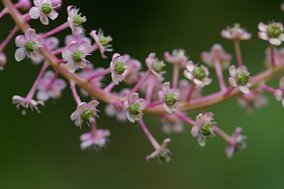 BUITEN BEELD Foto: 6281