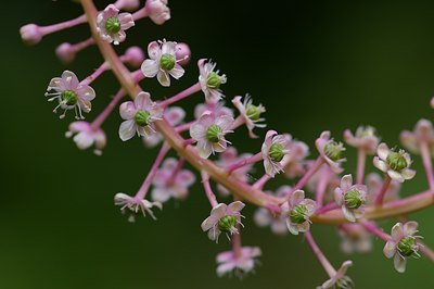 BUITEN BEELD Foto: 6282