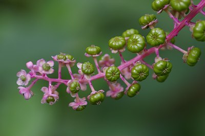 BUITEN BEELD Foto: 6283