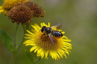 BUITEN BEELD Foto: 6305