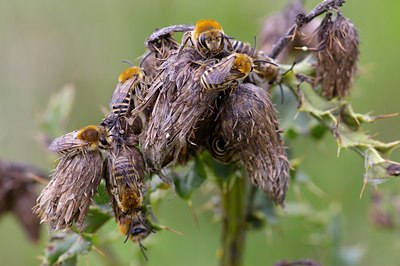 BUITEN BEELD Foto: 6315