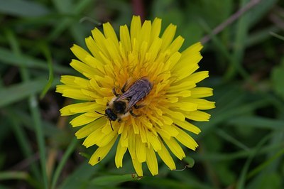 BUITEN BEELD Foto: 6317