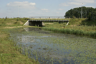 BUITEN BEELD Foto: 6337