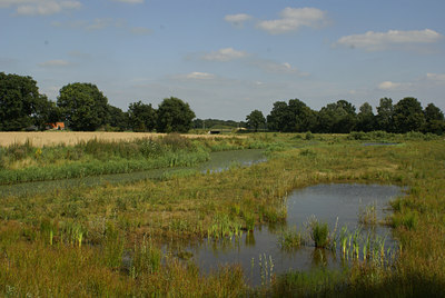 BUITEN BEELD Foto: 6339