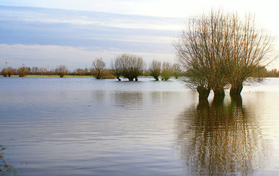 BUITEN BEELD Foto: 6344