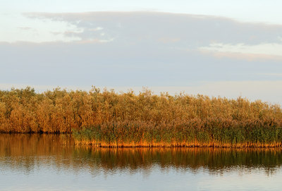 BUITEN BEELD Foto: 6388