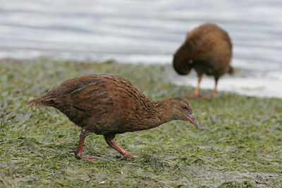 BUITEN BEELD Foto: 6412