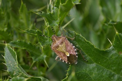 BUITEN BEELD Foto: 6493