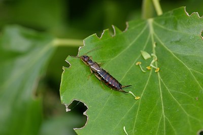 BUITEN BEELD Foto: 6496