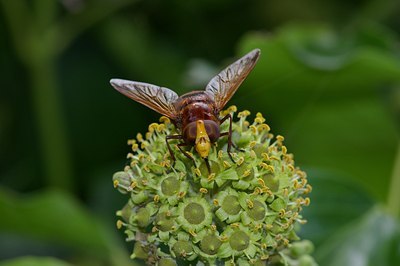 BUITEN BEELD Foto: 6499