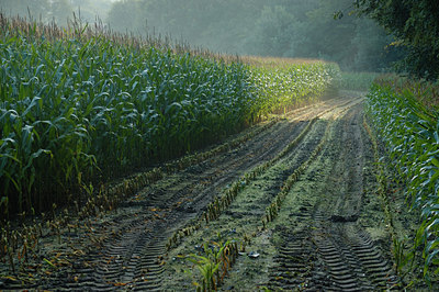 BUITEN BEELD Foto: 6513