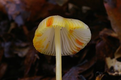 BUITEN BEELD Foto: 6575