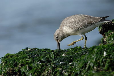 BUITEN BEELD Foto: 6577