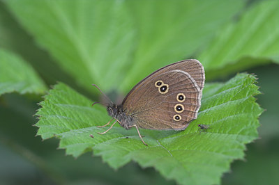 BUITEN BEELD Foto: 6685