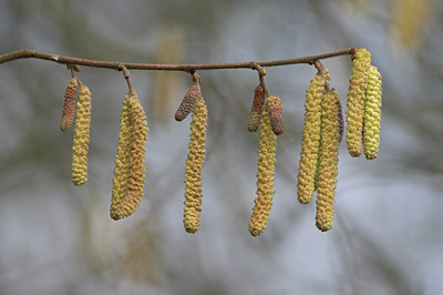 BUITEN BEELD Foto: 6699