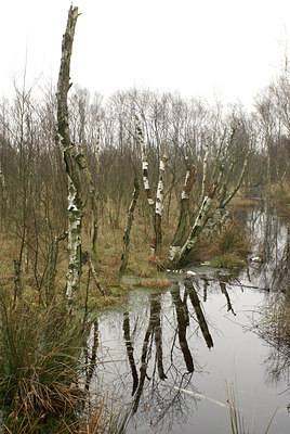 BUITEN BEELD Foto: 6732