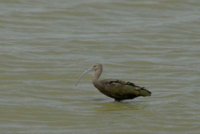 BUITEN BEELD Foto: 6761