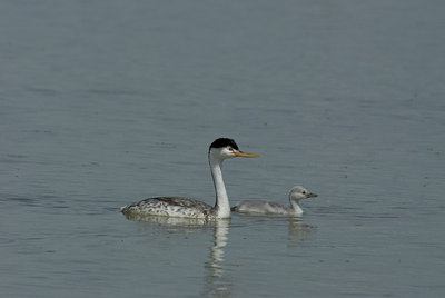 BUITEN BEELD Foto: 6762