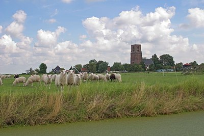 BUITEN BEELD Foto: 6880