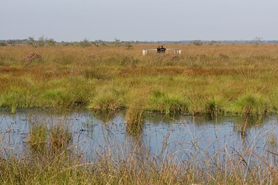 BUITEN BEELD Foto: 6908