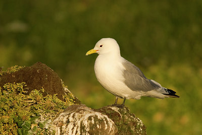 BUITEN BEELD Foto: 6976