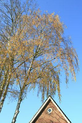 BUITEN BEELD Foto: 69014