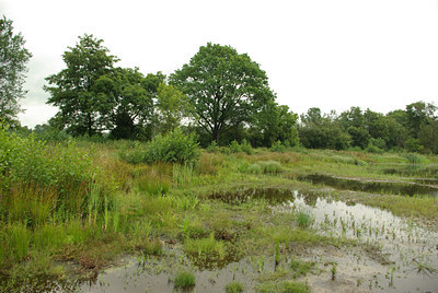 BUITEN BEELD Foto: 69044