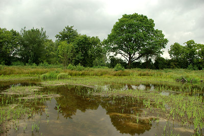 BUITEN BEELD Foto: 69045