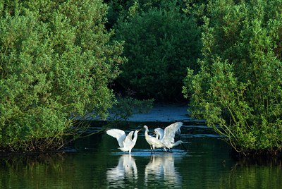 BUITEN BEELD Foto: 69063