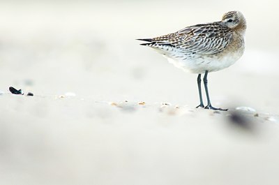 BUITEN BEELD Foto: 69079