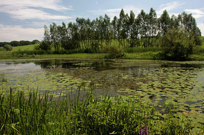 BUITEN BEELD Foto: 69172