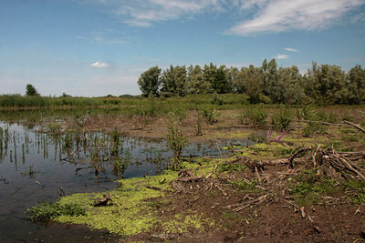 BUITEN BEELD Foto: 69173
