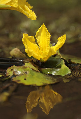 BUITEN BEELD Foto: 69179