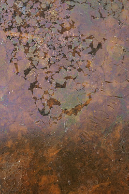 BUITEN BEELD Foto: 69181